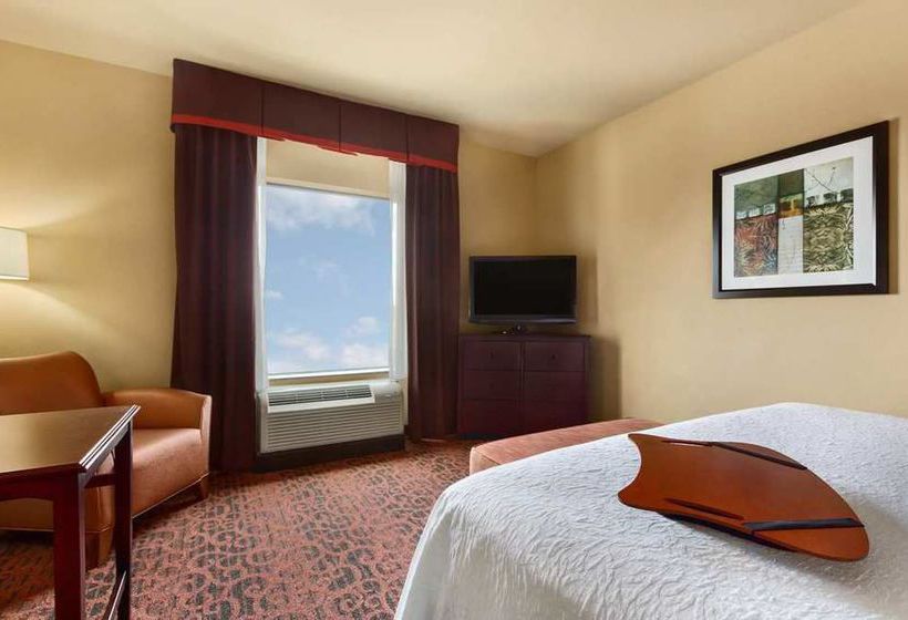 Hampton Inn & Suites Mission  | Mission | Texas | United States 14