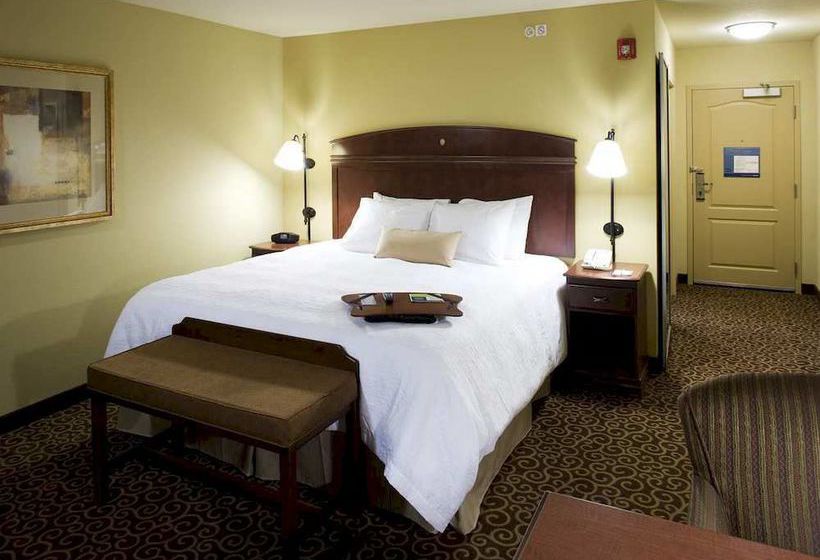 Hotel Hampton Inn & Suites Rochester-North  | Rochester | Minnesota | United States 15