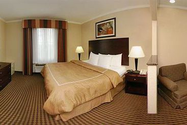 Hotel Comfort Suites  | Baytown | Texas | United States 11