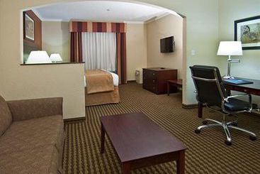 Hotel Comfort Suites  | Baytown | Texas | United States 3