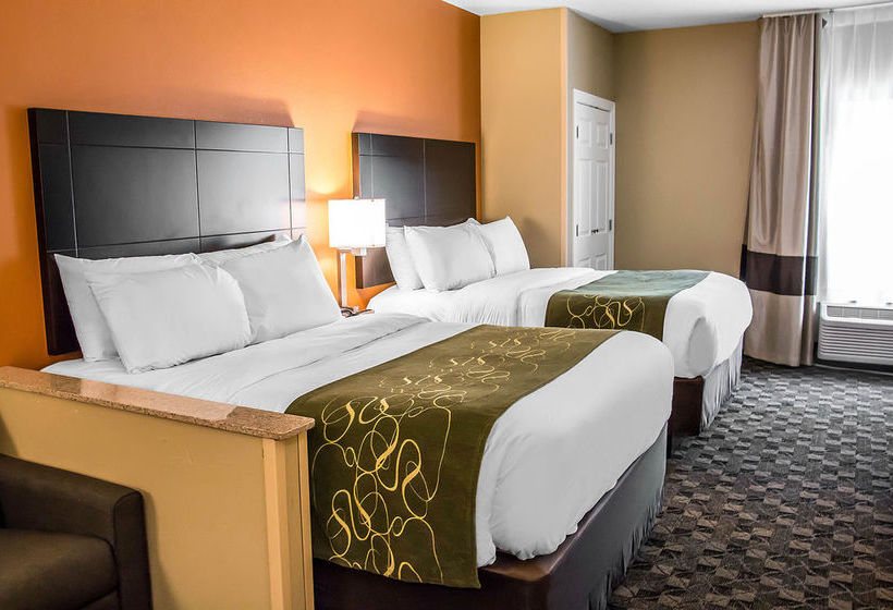 Hotel Comfort Suites Hilton Head Island Area   | Bluffton | South Carolina | United States 18