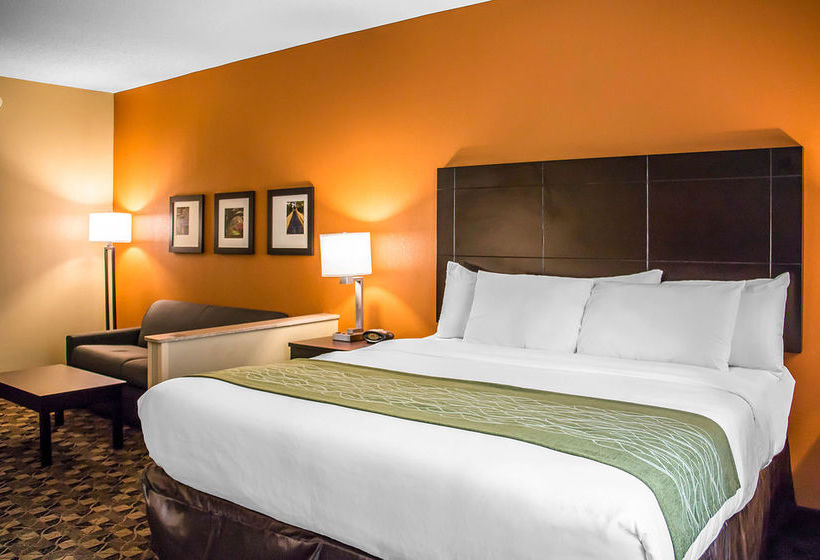 Hotel Comfort Suites Hilton Head Island Area   | Bluffton | South Carolina | United States 20