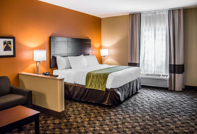 Hotel Comfort Suites Hilton Head Island Area   | Bluffton | South Carolina | United States 6