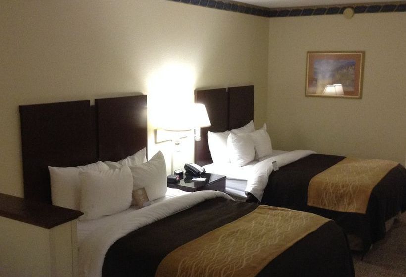 Hotel Comfort Inn & Suites Ft.Jackson Maingate  | Columbia | South Carolina | United States 18