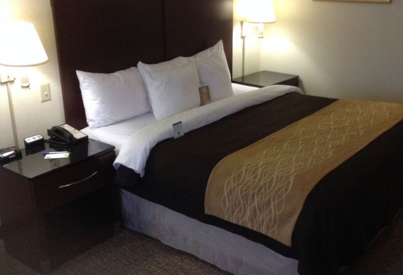 Hotel Comfort Inn & Suites Ft.Jackson Maingate  | Columbia | South Carolina | United States 19