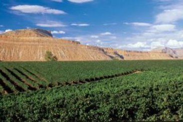 Holiday Inn Hotel & Suites Grand Junction-Airport 