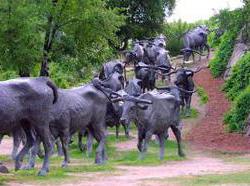 Holiday Inn Express Hotel & Suites Dallas West  | Dallas | Texas | Estados Unidos 19