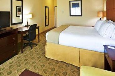 Holiday Inn Express Hotel & Suites Dallas East  | Dallas | Texas | United States 2
