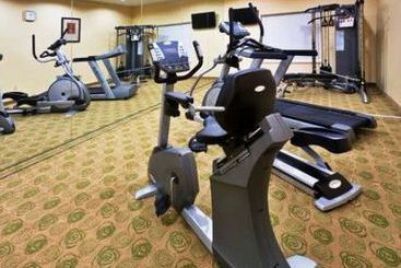 Holiday Inn Express Hotel & Suites Dallas East  | Dallas | Texas | United States 7