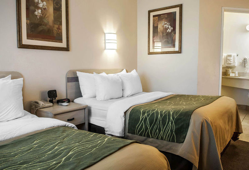 Hotel Comfort Inn Moriarty  | Moriarty | New Mexico | United States 10