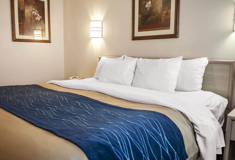 Hotel Comfort Inn Moriarty  | Moriarty | New Mexico | United States 12