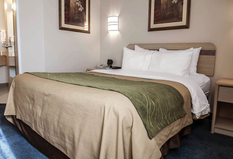 Hotel Comfort Inn Moriarty  | Moriarty | New Mexico | United States 16