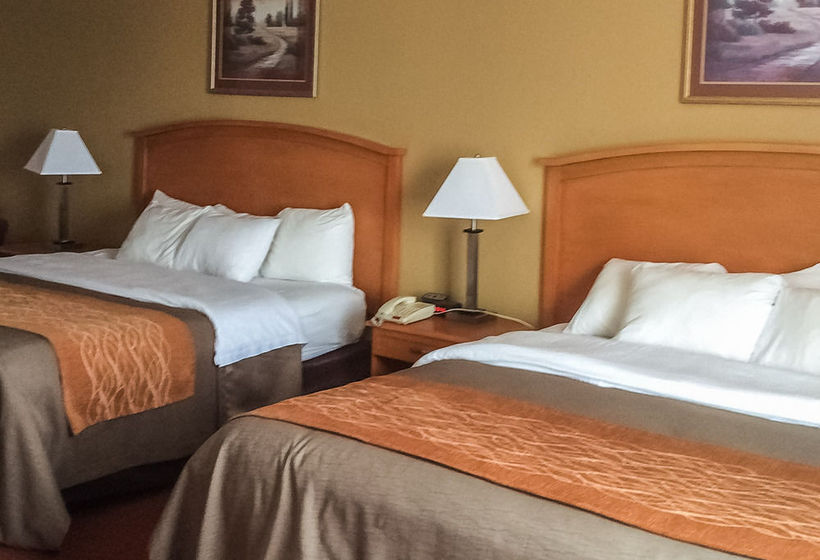 Hotel Comfort Inn & Suites Chesapeake  Virginia