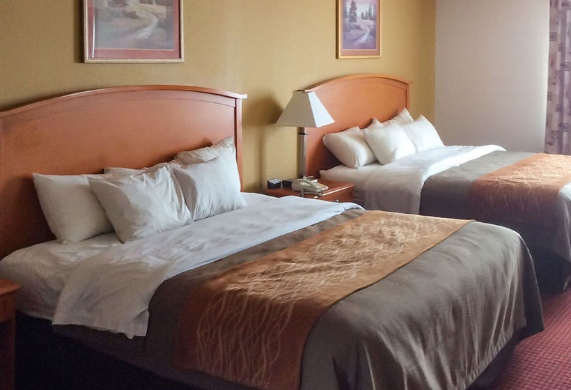 Hotel Comfort Inn & Suites Chesapeake   | Chesapeake | Virginia | United States 1
