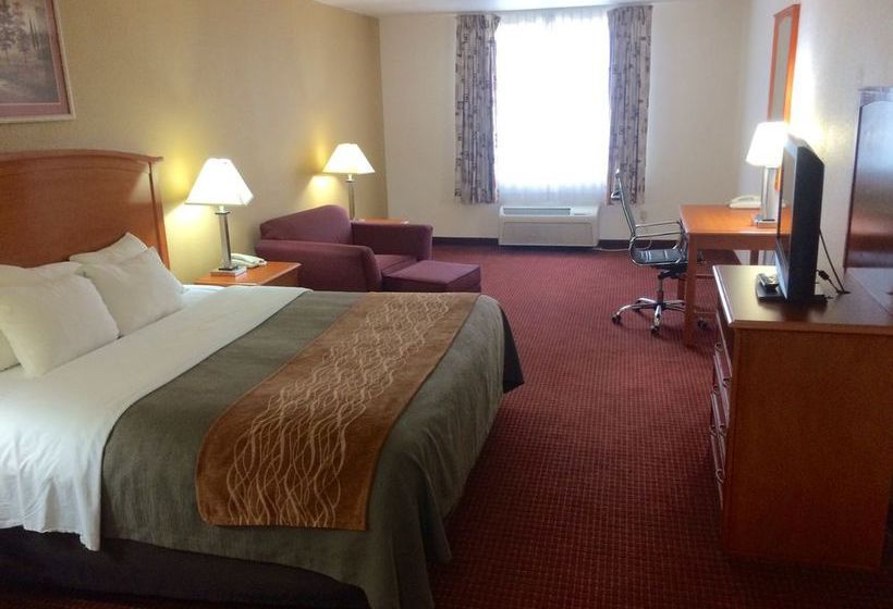 Hotel Comfort Inn & Suites Chesapeake   | Chesapeake | Virginia | United States 10