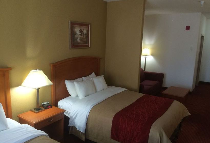 Hotel Comfort Inn & Suites Chesapeake   | Chesapeake | Virginia | United States 4