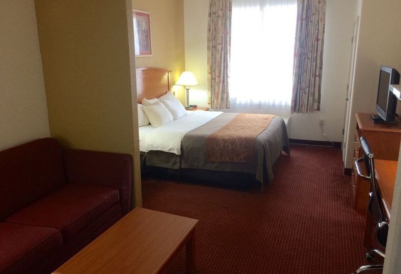 Hotel Comfort Inn & Suites Chesapeake   | Chesapeake | Virginia | United States 7