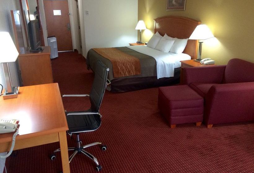 Hotel Comfort Inn & Suites Chesapeake   | Chesapeake | Virginia | United States 9