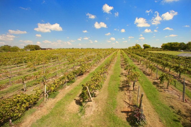 Hotel Best Western Premier Old Town Center  | Bryan | Texas | United States 18