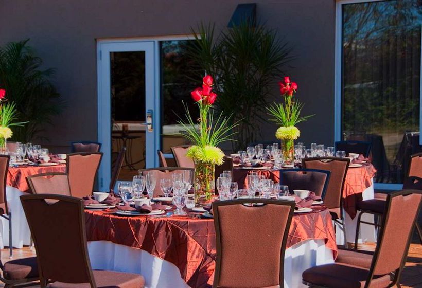 Hotel Hilton Garden Inn Greenville  | Greenville | South Carolina | United States 8