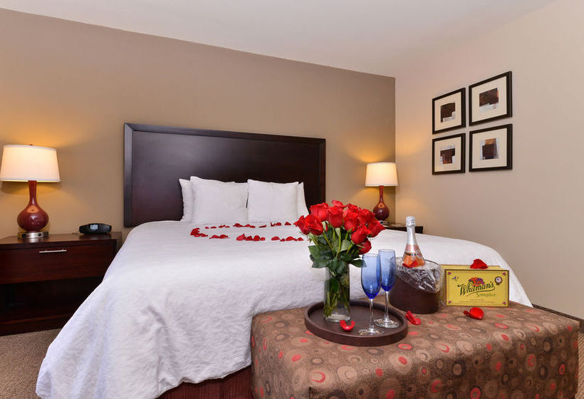 Hotel Hampton Inn & Suites Phoenix Gilbert  | Gilbert | Arizona | United States 8