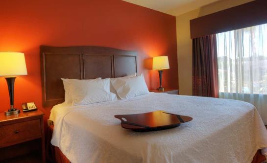 Hotel Hampton Inn & Suites McAllen  | Mcallen | Texas | United States 14