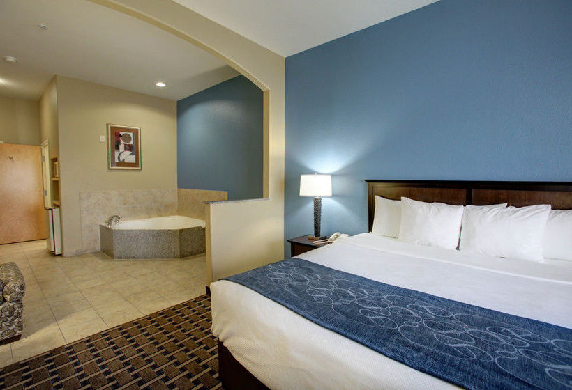 Hotel Comfort Suites Georgetown Kentucky