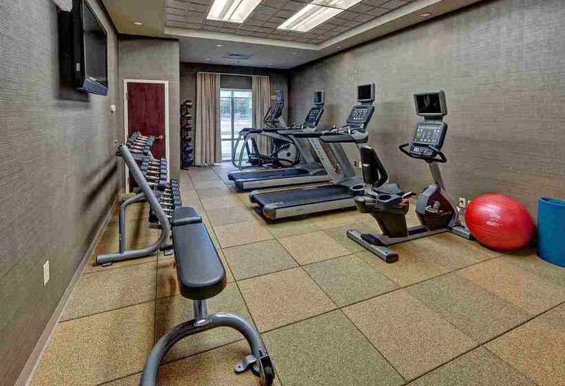 Hotel Springhill Suites Norfolk Old Dominion University  | Norfolk | Virginia | United States 12