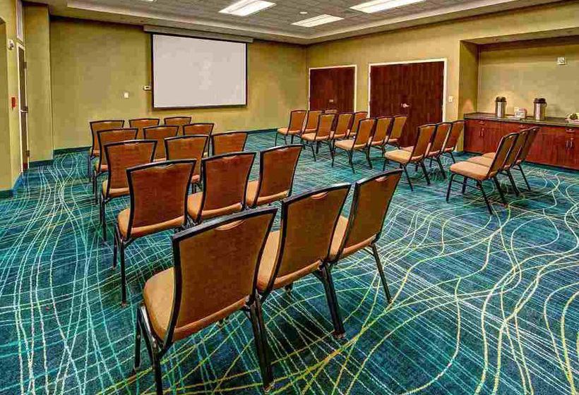 Hotel Springhill Suites Norfolk Old Dominion University  | Norfolk | Virginia | United States 14