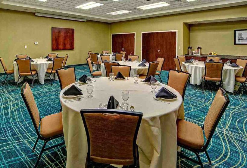 Hotel Springhill Suites Norfolk Old Dominion University  | Norfolk | Virginia | United States 15