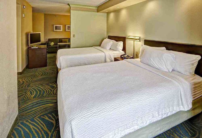 Hotel Springhill Suites Norfolk Old Dominion University  | Norfolk | Virginia | United States 3