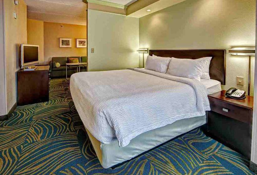 Hotel Springhill Suites Norfolk Old Dominion University  | Norfolk | Virginia | United States 4