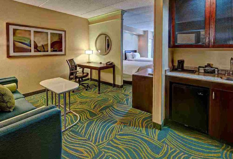 Hotel Springhill Suites Norfolk Old Dominion University  | Norfolk | Virginia | United States 5