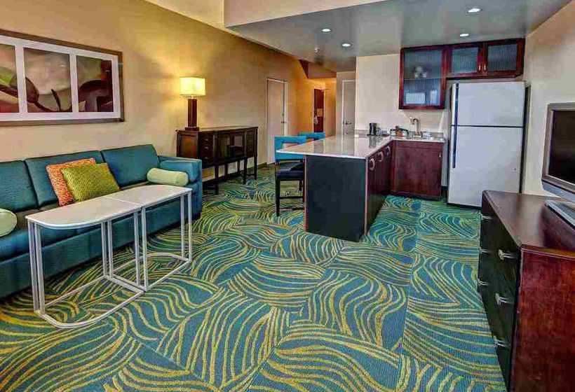 Hotel Springhill Suites Norfolk Old Dominion University  | Norfolk | Virginia | United States 7