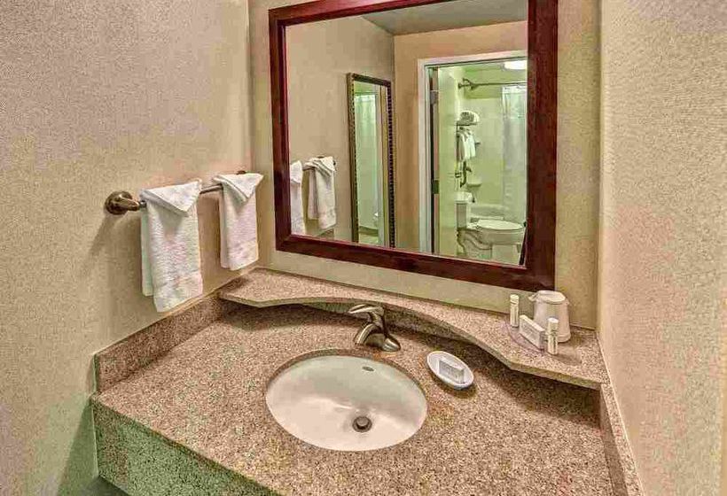 Hotel Springhill Suites Norfolk Old Dominion University  | Norfolk | Virginia | United States 8