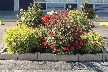 Hotel Knights Inn Bristol  | Bristol | Virginia | United States 5