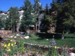 Chateaux Du Mont Condo