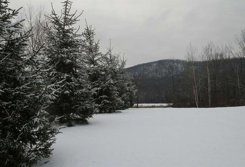 Hotel Hampton Inn & Suites Berkshires-Lenox  | Lenox | Massachusetts | United States 4