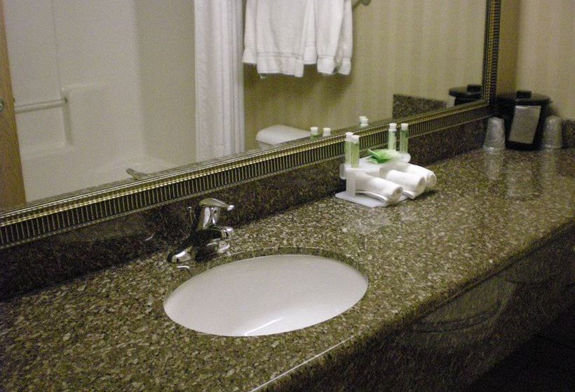 Hotel Holiday Inn Express New Buffalo  | New Buffalo | Michigan | United States 11