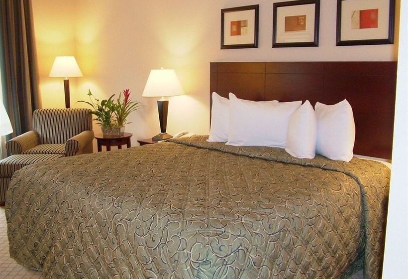 Hotel Holiday Inn Express Lafayette  | Lafayette | Louisiana | Estados Unidos 14