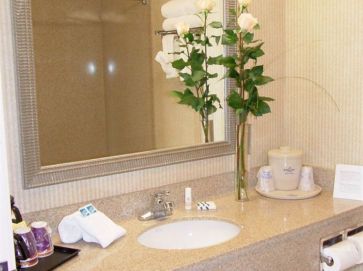 Hotel Holiday Inn Express Lafayette  | Lafayette | Louisiana | Estados Unidos 2