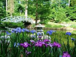 Hotel Indigo Raleigh Durham Airport At Rtp  | Durham | North Carolina | United States 11