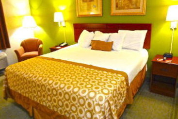 Hotel Ramada Brunswick  | Brunswick | Georgia | Hotel negli Stati Uniti 3