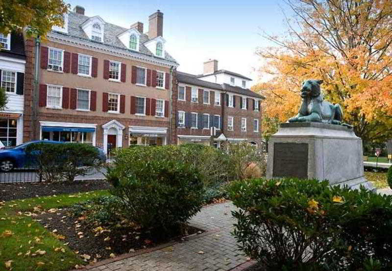 SpringHill Suites Ewing Princeton South  | Ewing | New Jersey | Estados Unidos 11