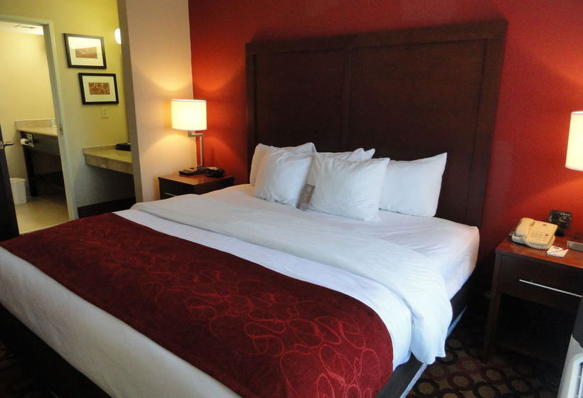 Hotel Comfort Suites Concord  | Concord | North Carolina | United States 3