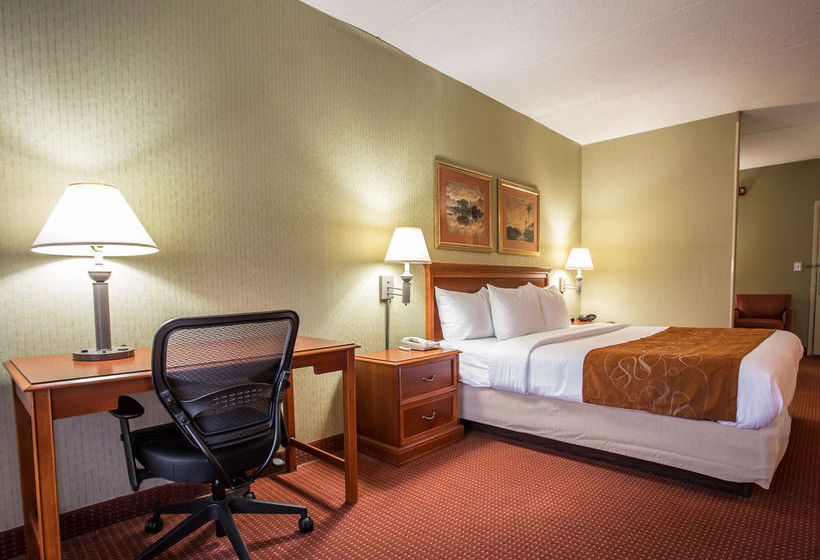 Hotel Comfort Suites Northlake  | Charlotte | North Carolina | United States 12