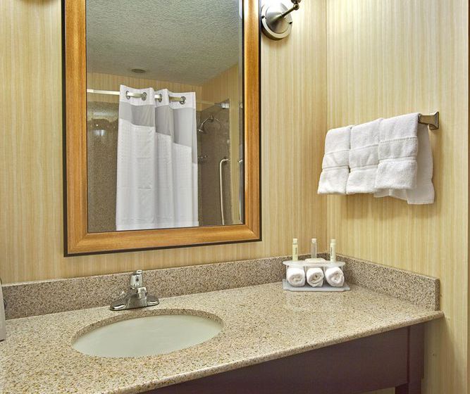 Holiday Inn Express Hotel & Suites Grants - Milan  | Grants | New Mexico | United States 13