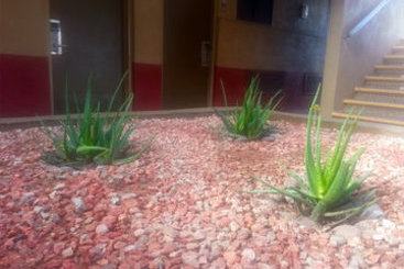 Hotel Travelodge Phoenix Downtown  | Phoenix | Arizona | United States 3