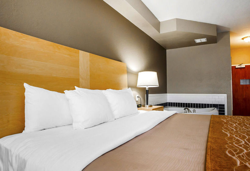 Hotel Comfort Inn Kansas City Airport  | Kansas City | Missouri | United States 14