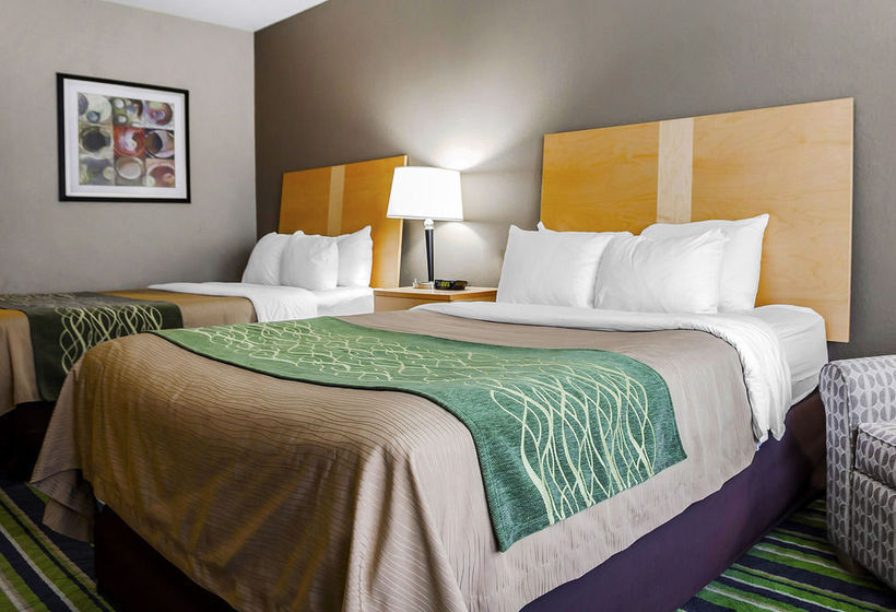 Hotel Comfort Inn Kansas City Airport  | Kansas City | Missouri | United States 19